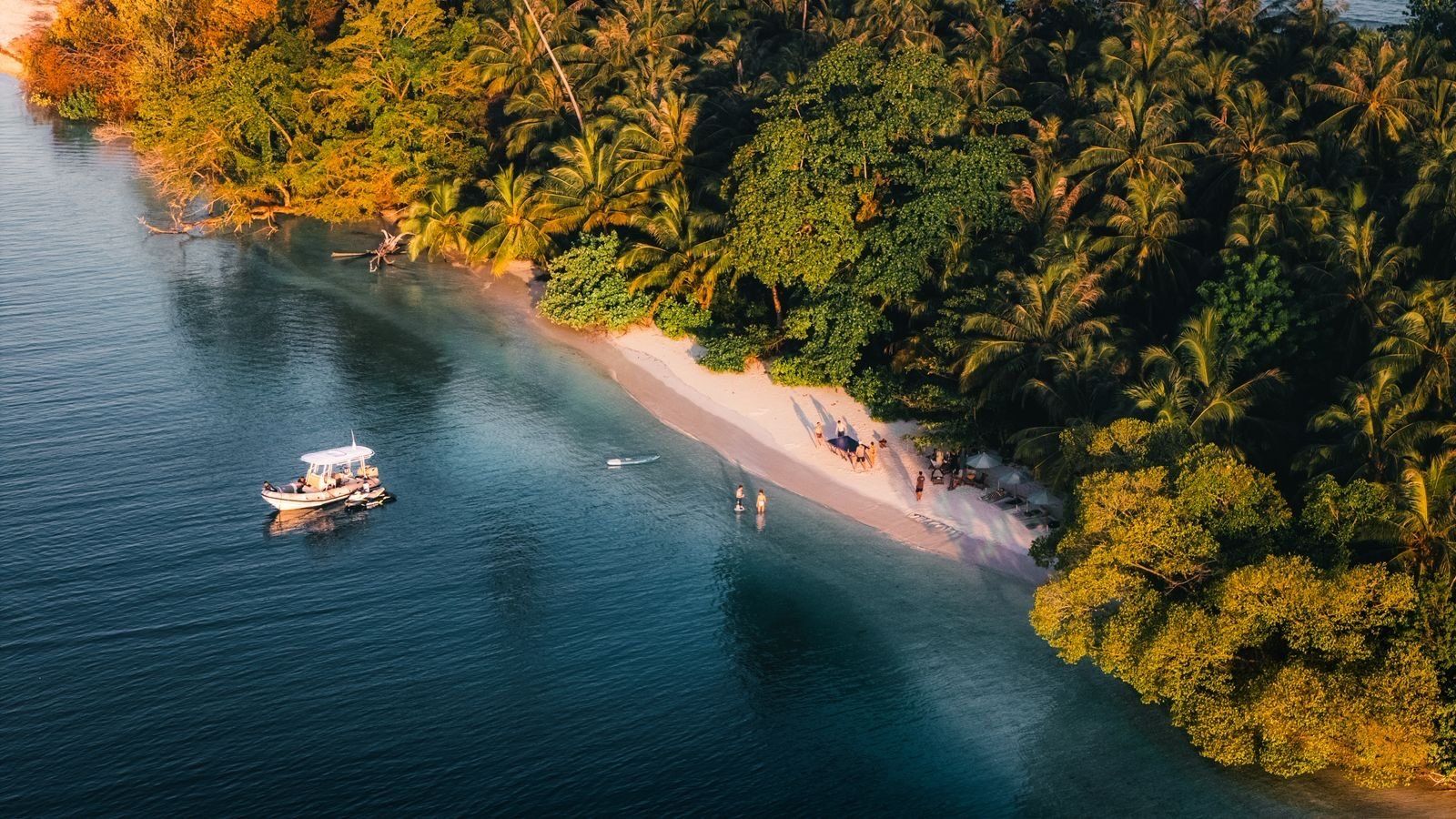 The boat off a forested cove