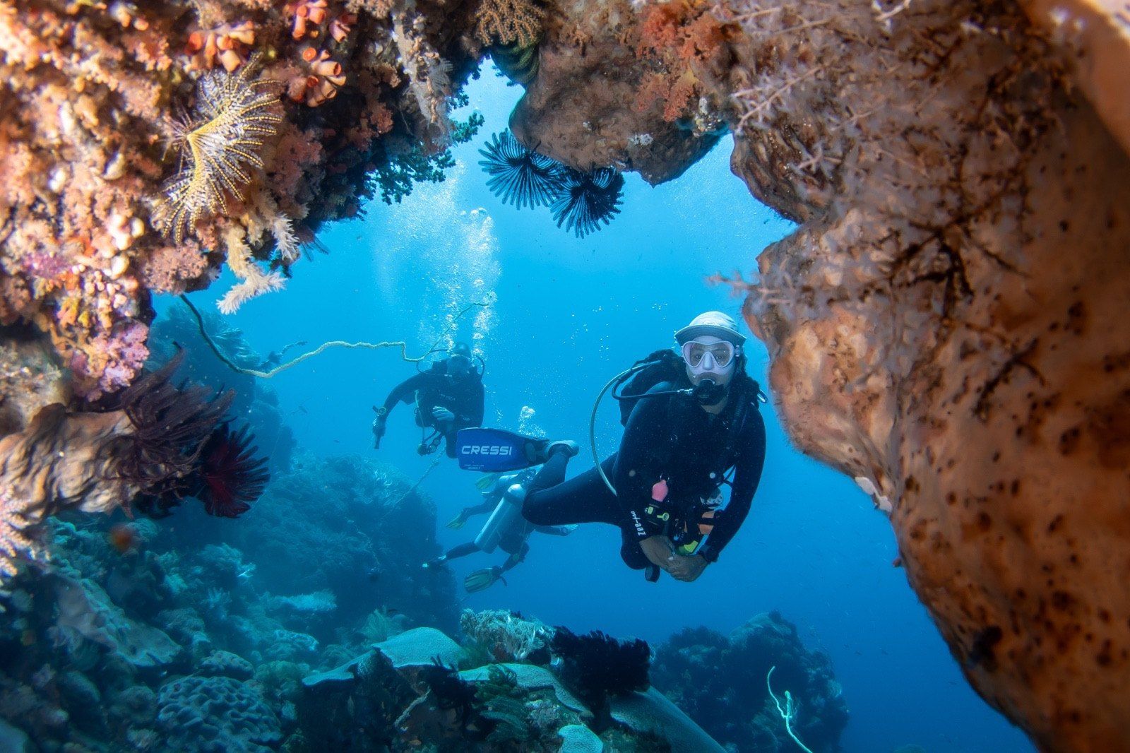 Divers in a coral cavern