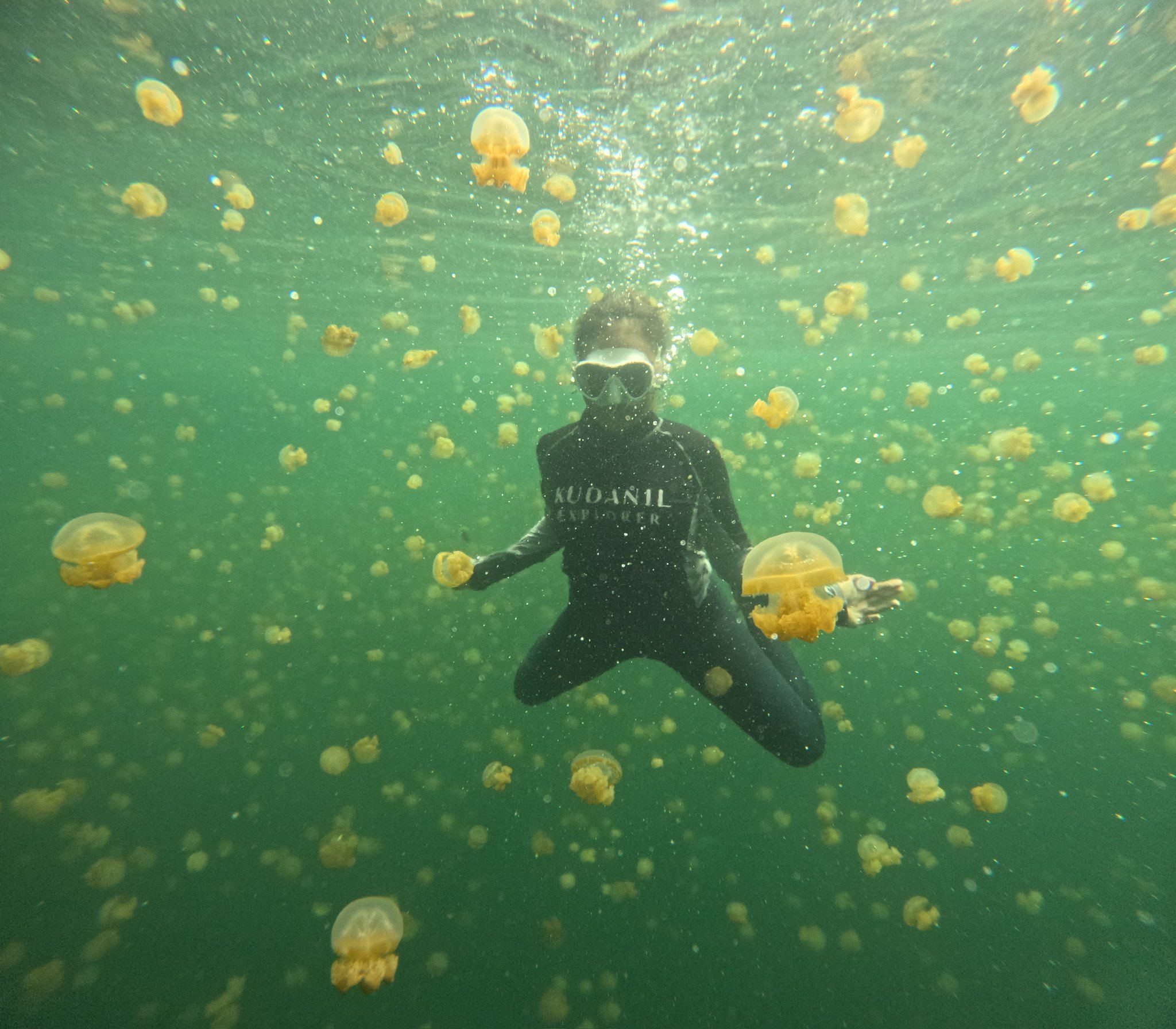Jellyfish lake