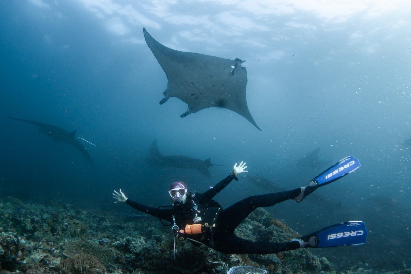 A freediver beneath a manta ray