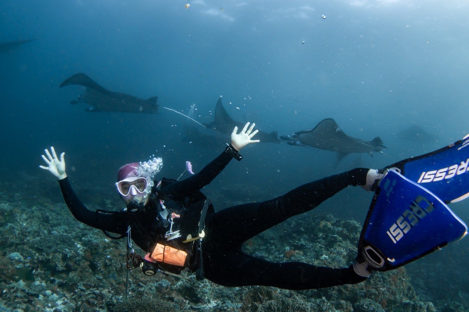 Manta and freediver