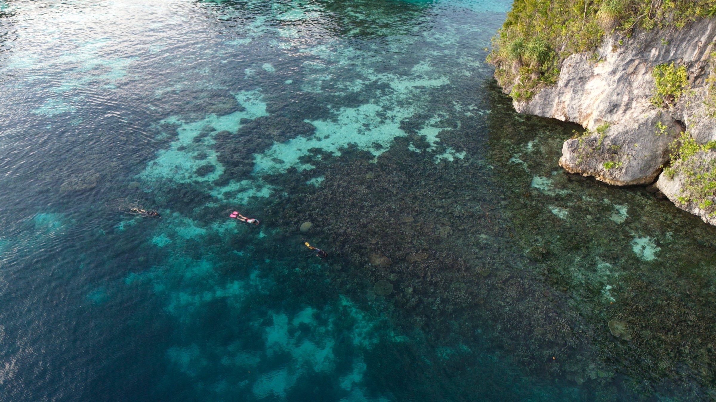 Reef shelf below a limestone cliff